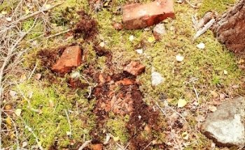 F.D Torpet Långdalskärr (Lugar Histórico)