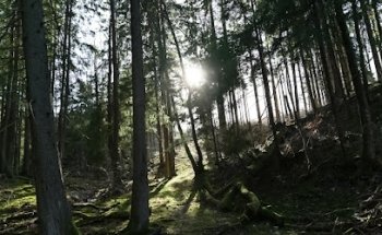 Våpenhula