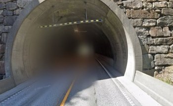 Kvinesheia - Túnel Artístico - Transición para Erizos y otros Animales Salvajes