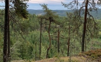 Gjellberget, con restos de una fortaleza de la época de las migraciones.