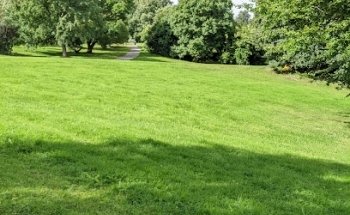 NTNU Jardín Botánico Ringve Estacionamiento