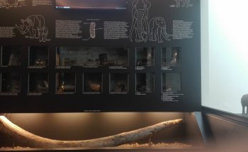 Museo di Casal de 'Pazzi