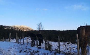 Stølsvegen Ås-Entnlie
