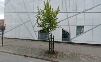Museo Sunnfjord