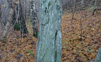 Vedenskogen bautasteiner