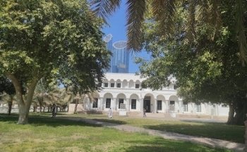 Mihrab del Sheikh Zayed