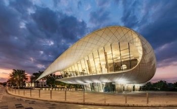 Museo Etihad