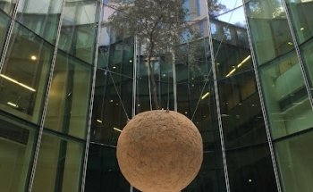 La Galería de Arte de NYU Abu Dhabi
