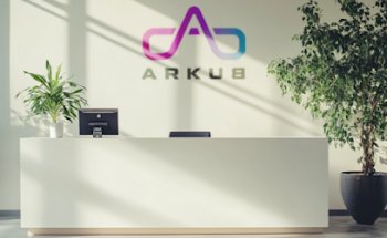 ARKUB interactivo