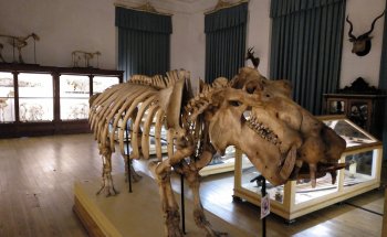 Museo de la Ciencia de la Universidad de Coimbra
