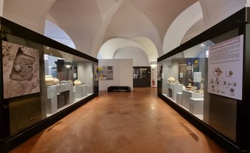 Museo del Territorio