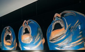 MAMMA - Museo de Arte Moderno de Madeira