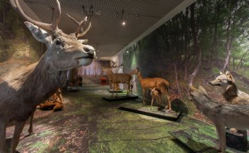 Museo de la Naturaleza del Valais