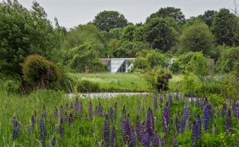 Insel Hombroich