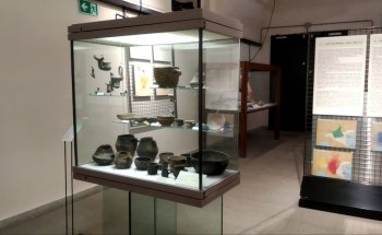 Museo Arqueológico - Sección de Prehistoria y Protohistoria