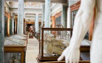 Museo y Conservatorio de Anatomía