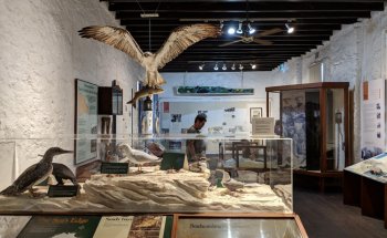 Museo Wadjemup