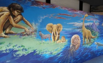 Colección Museográfica Paleontológica y de las Ciencias - Alcoy