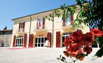 Museo Musicalia