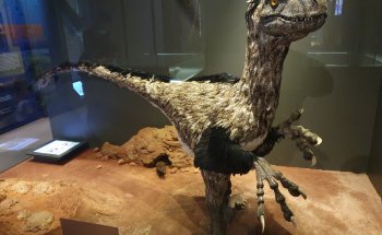 Museo Departamental del Var