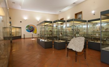 Museo Paleontologico