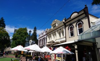 Museo Provincial de Nelson - Centro de Investigación Isel Park