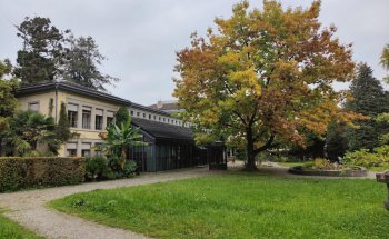 Museo Etnográfico de la Universidad de Zúrich