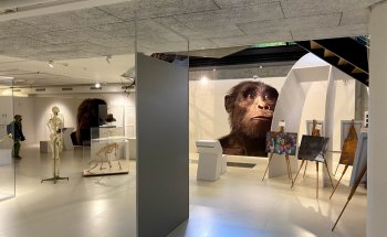 Museo Antropológico