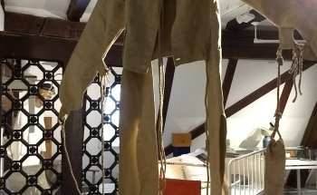 MuSeele e.V.