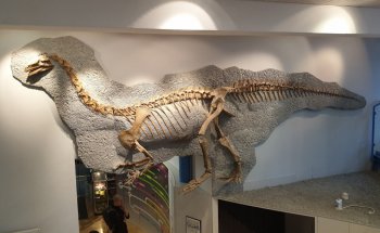 Museo de Dinosaurios de Frick