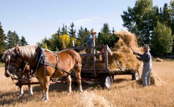 Museo de Pioneros de Stony Plain y Parkland