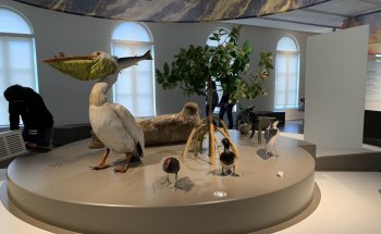 Museo Regional de Ciencias Naturales