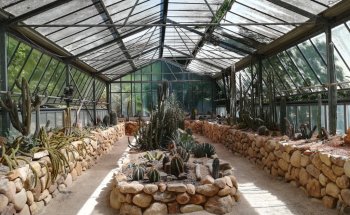 Museo Herbarium