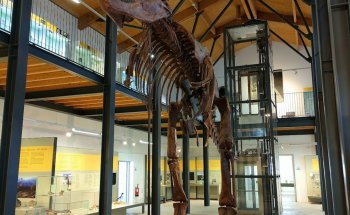 Museo Palaeoambienti Sulcitani