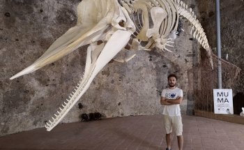MuMa Museo del Mare Milazzo