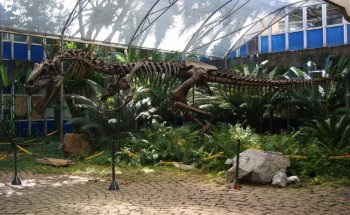 Museo de Geociencias