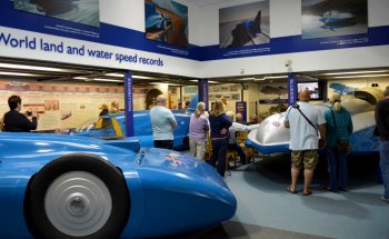 Exposición Campbell Bluebird
