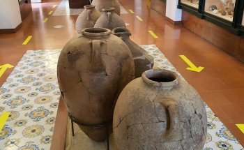 Museo Arqueológico de Pitecusa