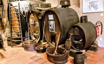 Museo del Viñedo y los Vinos de Alsacia