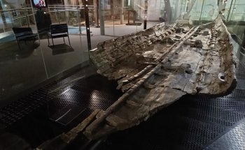 Museo de Dover y Galería del Barco de la Edad de Bronce