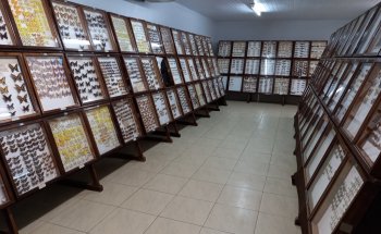 Museo de Ciencias Naturales de Guarapuava