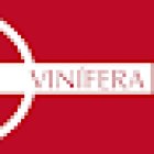 Centre d'interpretació del Jaciment ibèric de la Font de la Canya - D.O. Vinífera