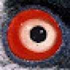 Ecomuseo de la Fauna. Fundación para la Conservación del Quebrantahuesos