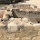 Lucentum Tossal de Manises