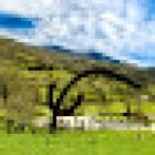 Prehistoric Park Teverga