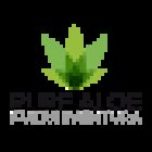 Anticua Fuerteventura