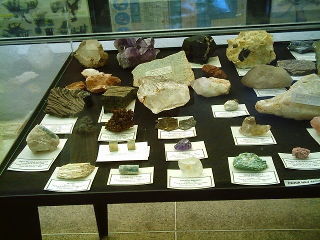 Museo de Paleontología