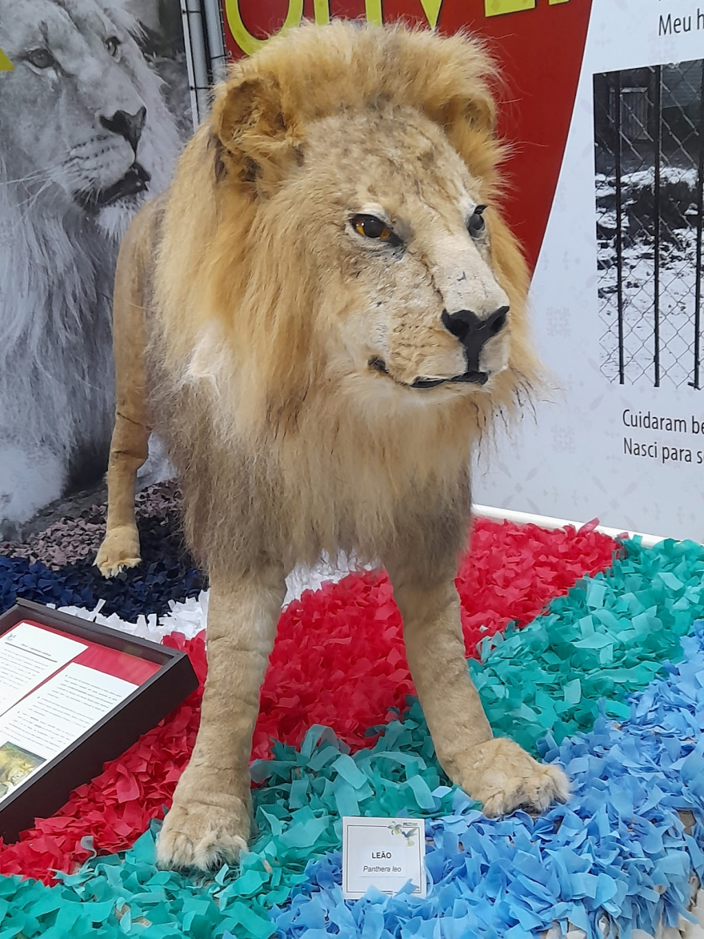 Muzar - Museo Zoobotánico Augusto Ruschi