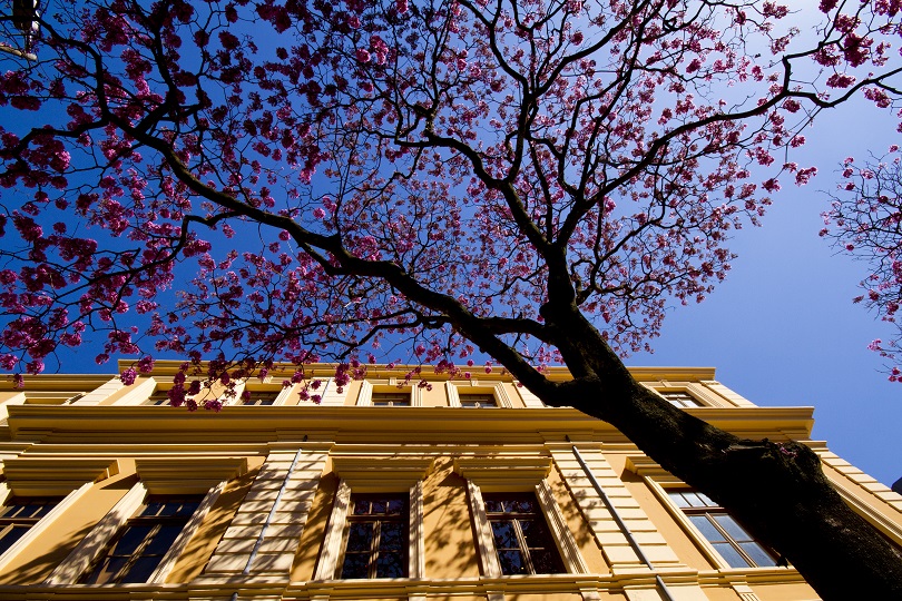 Memorial Minas Gerais Vale