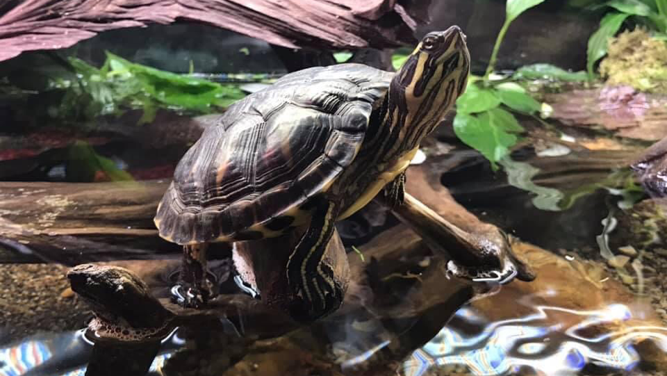 Casa de la Pesca y la Naturaleza